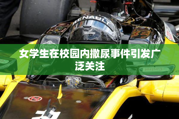 女学生在校园内撒尿事件引发广泛关注