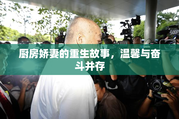 厨房娇妻的重生故事，温馨与奋斗并存