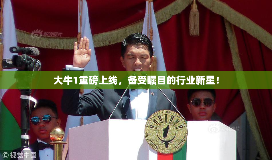 大牛1重磅上线，备受瞩目的行业新星！