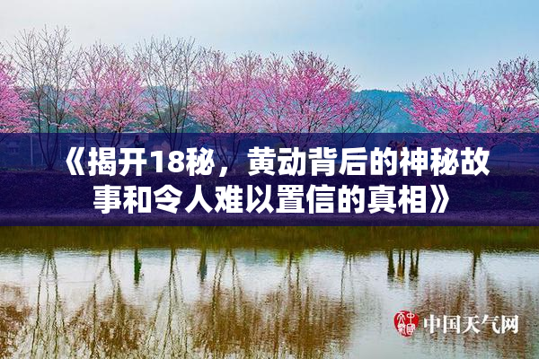 《揭开18秘，黄动背后的神秘故事和令人难以置信的真相》
