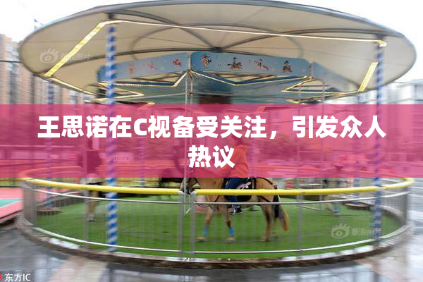 王思诺在C视备受关注，引发众人热议