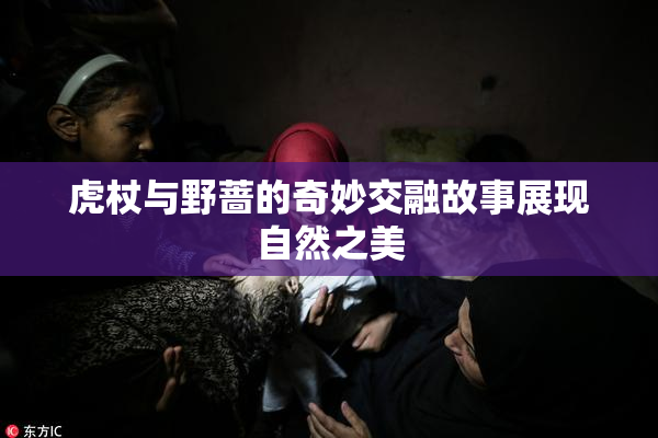 虎杖与野蔷的奇妙交融故事展现自然之美