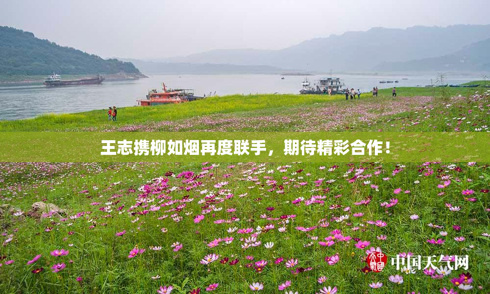 王志携柳如烟再度联手，期待精彩合作！
