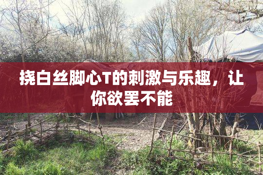 挠白丝脚心T的刺激与乐趣，让你欲罢不能