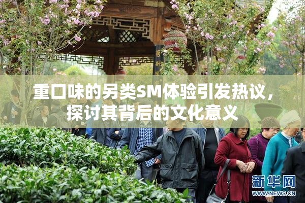 重口味的另类SM体验引发热议，探讨其背后的文化意义
