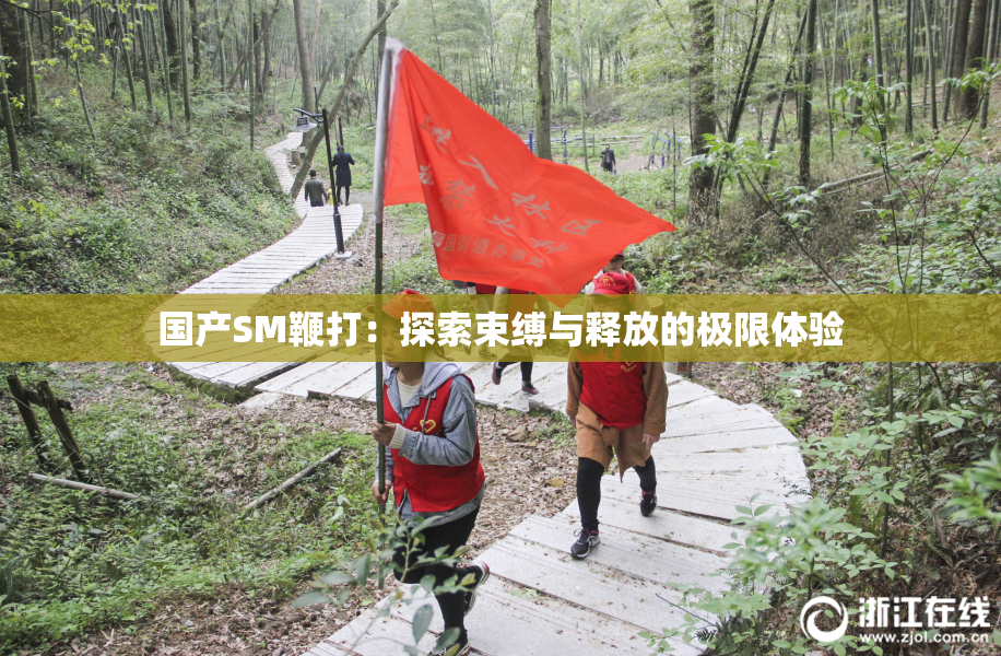 国产SM鞭打：探索束缚与释放的极限体验