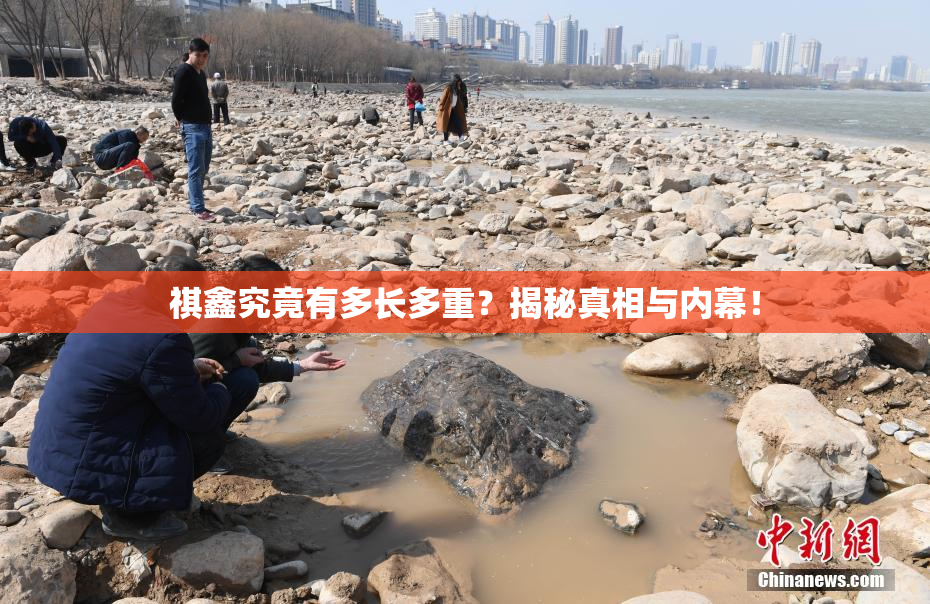 祺鑫究竟有多长多重？揭秘真相与内幕！