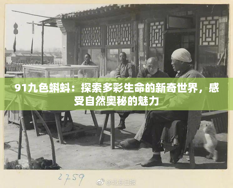 91九色蝌蚪：探索多彩生命的新奇世界，感受自然奥秘的魅力