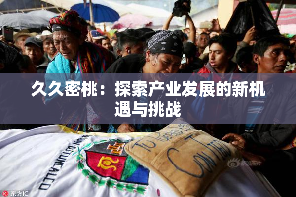 久久密桃：探索产业发展的新机遇与挑战