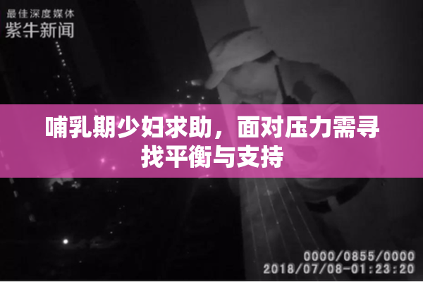 哺乳期少妇求助，面对压力需寻找平衡与支持