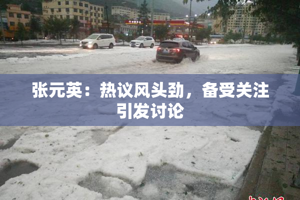 张元英：热议风头劲，备受关注引发讨论