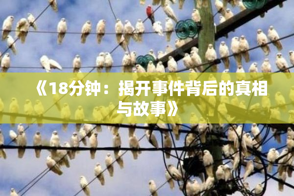 《18分钟：揭开事件背后的真相与故事》