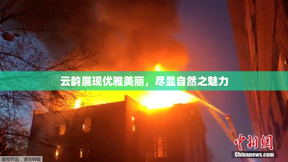 云韵展现优雅美丽，尽显自然之魅力