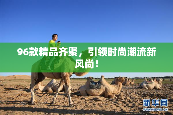 96款精品齐聚，引领时尚潮流新风尚！