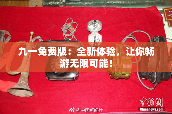 九一免费版：全新体验，让你畅游无限可能！