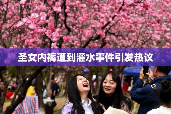 圣女内裤遭到灌水事件引发热议
