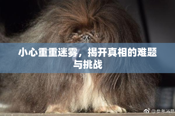 小心重重迷雾，揭开真相的难题与挑战