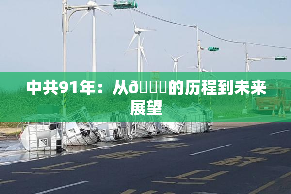 中共91年：从🍆的历程到未来展望