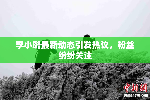 李小璐最新动态引发热议，粉丝纷纷关注