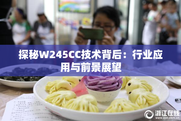 探秘W245CC技术背后：行业应用与前景展望