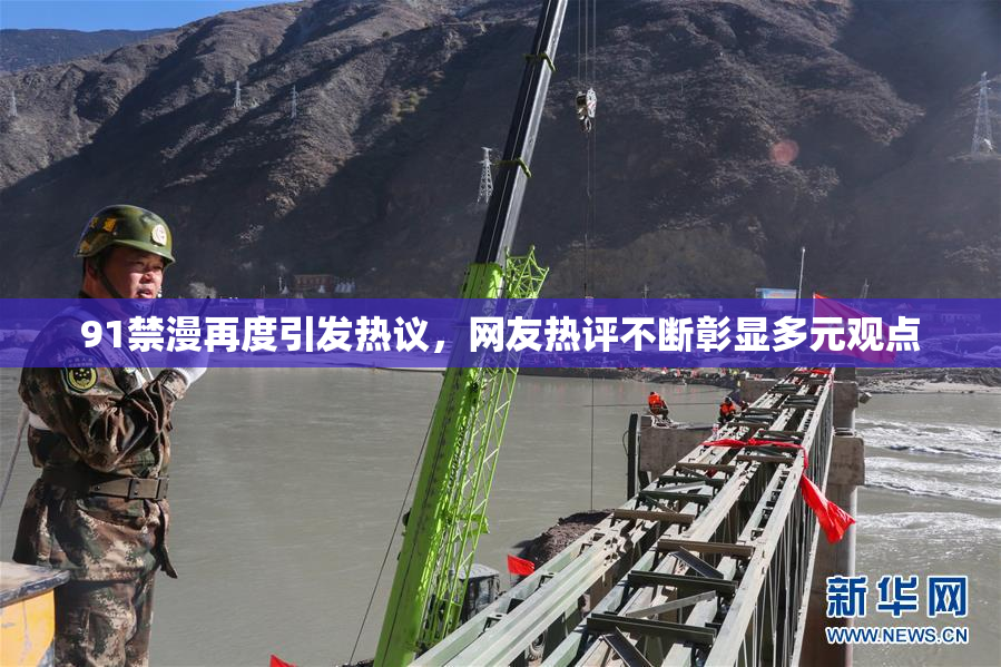 91禁漫再度引发热议，网友热评不断彰显多元观点