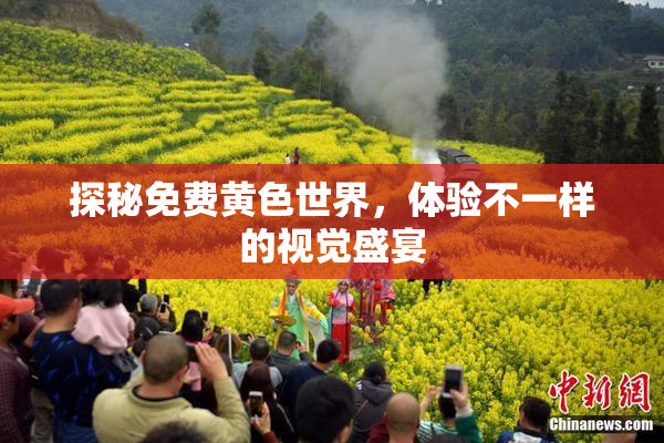 探秘免费黄色世界，体验不一样的视觉盛宴