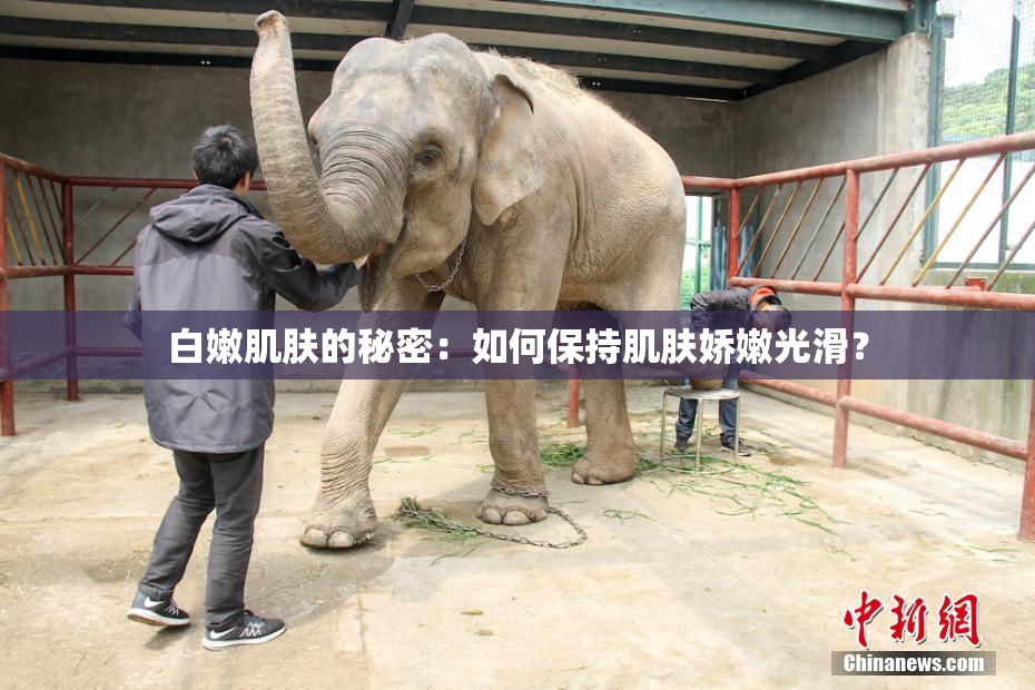 白嫩肌肤的秘密：如何保持肌肤娇嫩光滑？