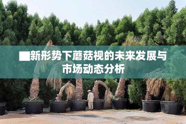 ▇新形势下蘑菇视的未来发展与市场动态分析