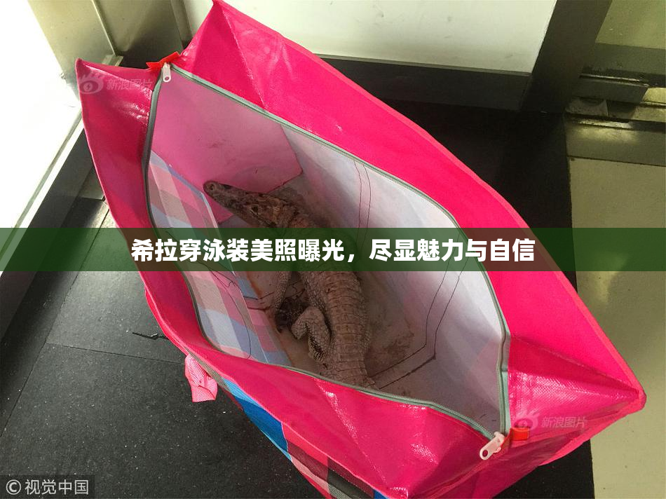 希拉穿泳装美照曝光，尽显魅力与自信