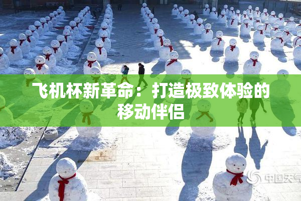 飞机杯新革命：打造极致体验的移动伴侣