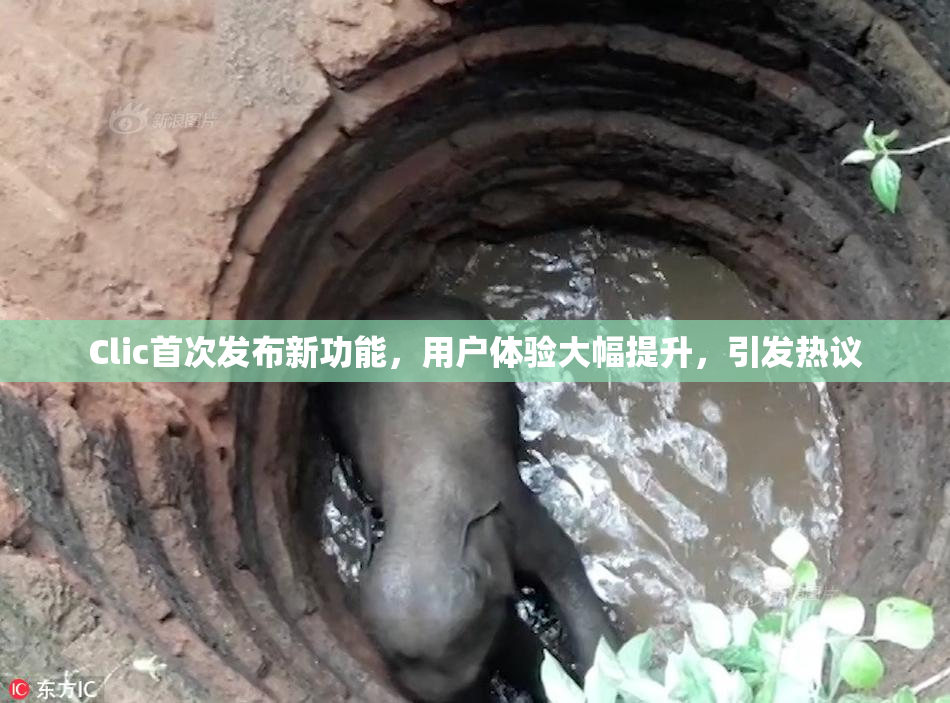 Clic首次发布新功能，用户体验大幅提升，引发热议