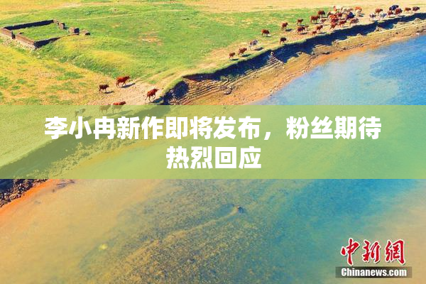 李小冉新作即将发布，粉丝期待热烈回应