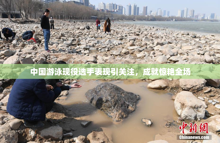 中国游泳现役选手表现引关注，成就惊艳全场