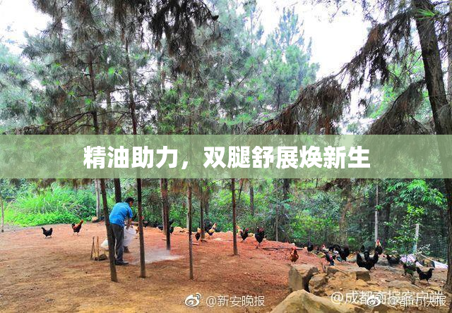 精油助力，双腿舒展焕新生