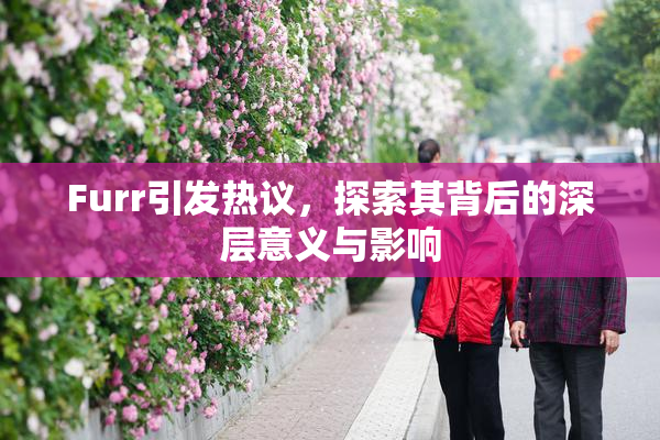 Furr引发热议，探索其背后的深层意义与影响