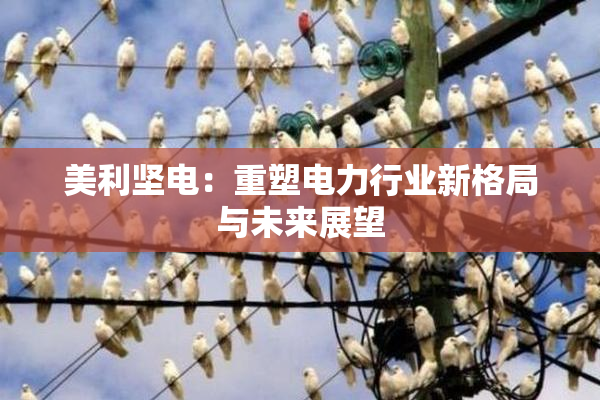 美利坚电：重塑电力行业新格局与未来展望