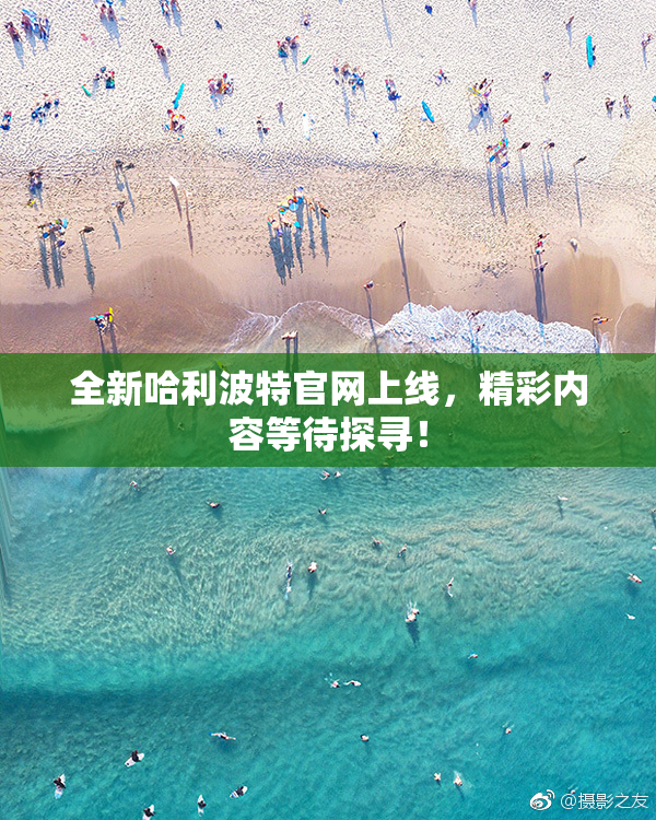 全新哈利波特官网上线，精彩内容等待探寻！