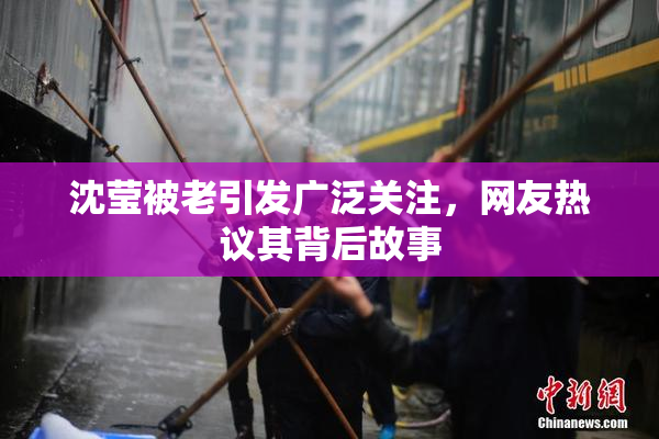 沈莹被老引发广泛关注，网友热议其背后故事