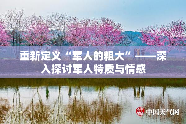 重新定义“军人的粗大”——深入探讨军人特质与情感