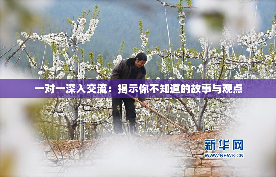一对一深入交流：揭示你不知道的故事与观点
