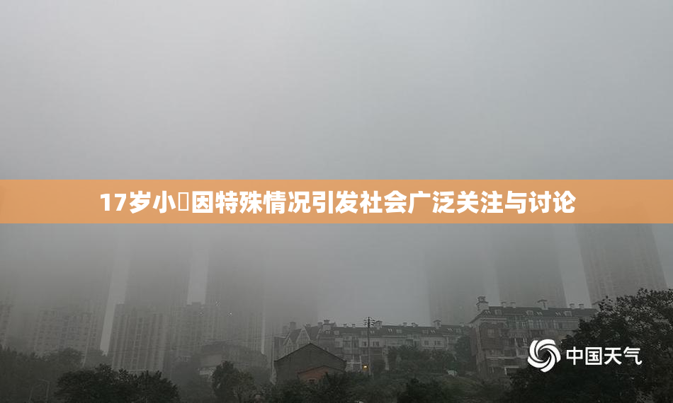 17岁小泬因特殊情况引发社会广泛关注与讨论