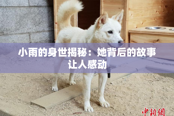 小雨的身世揭秘：她背后的故事让人感动