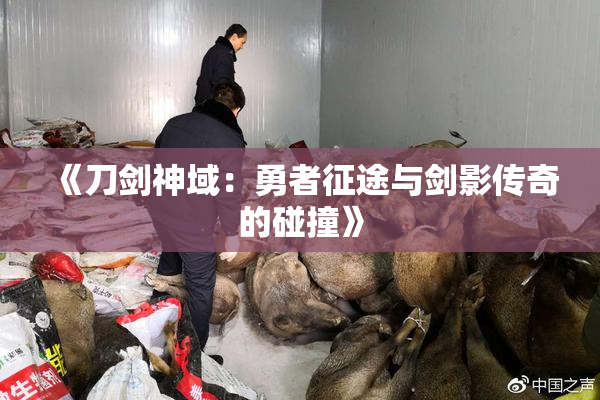 《刀剑神域：勇者征途与剑影传奇的碰撞》