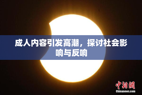 成人内容引发高潮，探讨社会影响与反响