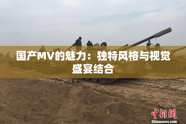 国产MV的魅力：独特风格与视觉盛宴结合