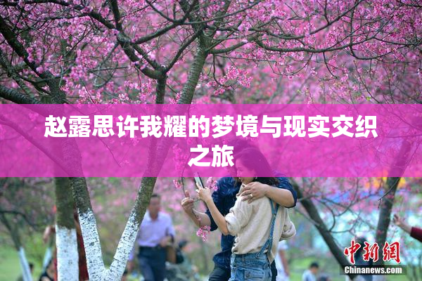 赵露思许我耀的梦境与现实交织之旅