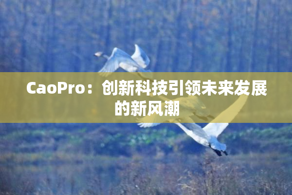 CaoPro：创新科技引领未来发展的新风潮