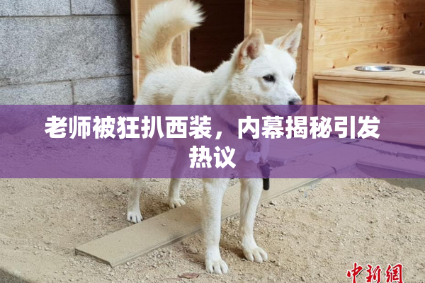 老师被狂扒西装，内幕揭秘引发热议