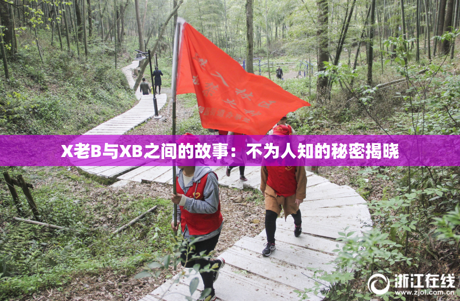 X老B与XB之间的故事：不为人知的秘密揭晓