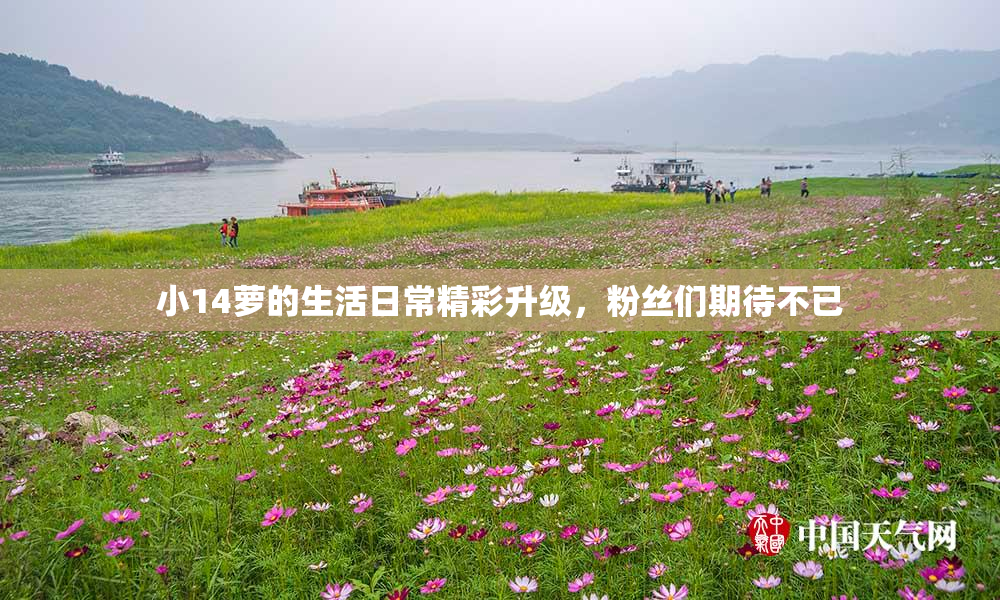 小14萝的生活日常精彩升级，粉丝们期待不已